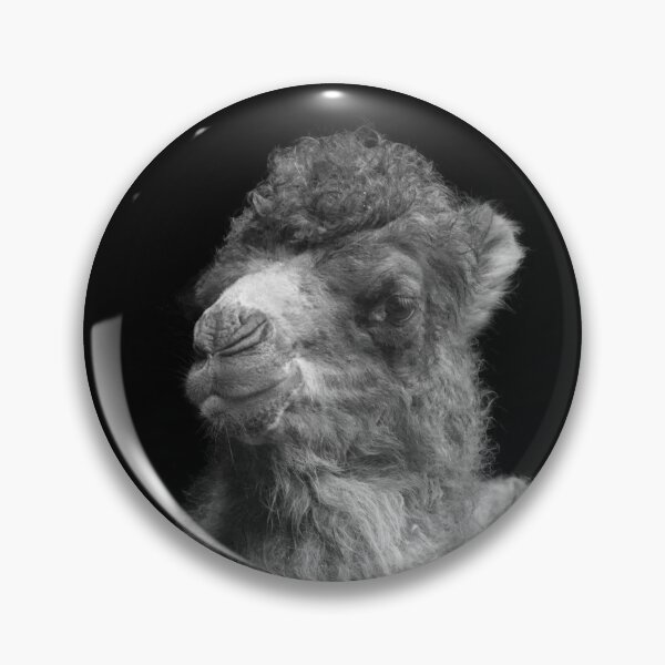 Item preview, Baby Camel Mono designed and sold by rawshutterbug.