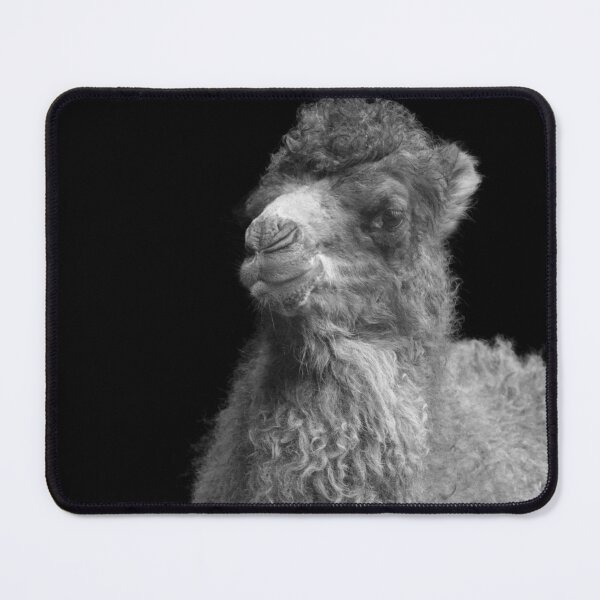 Item preview, Baby Camel Mono designed and sold by rawshutterbug.