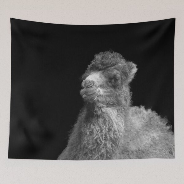Item preview, Baby Camel Mono designed and sold by rawshutterbug.