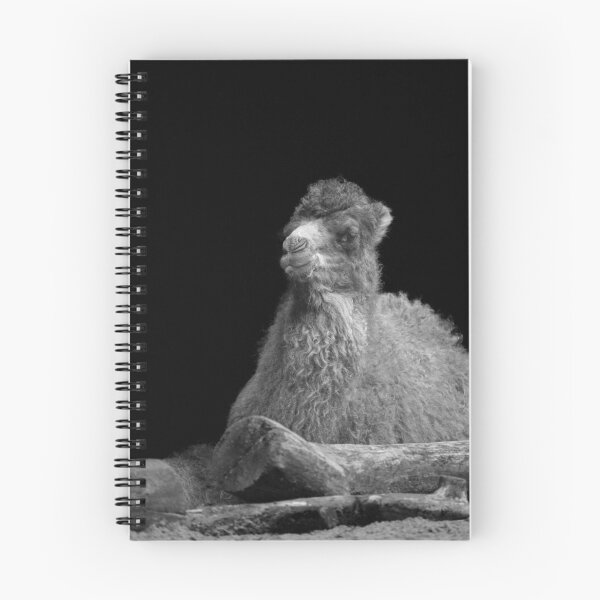 Item preview, Baby Camel Mono designed and sold by rawshutterbug.