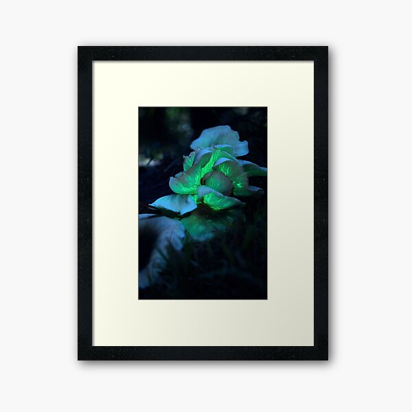 Item preview, Glow in the dark ghost mushrooms designed and sold by Matthew Burniston.