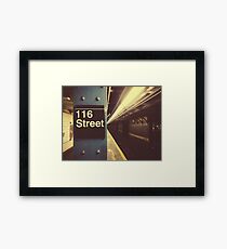 New York City Subway Framed Print