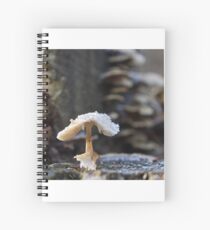 From the frog's point of view Spiral Notebook