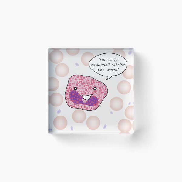 Eosinophil Acrylic Block