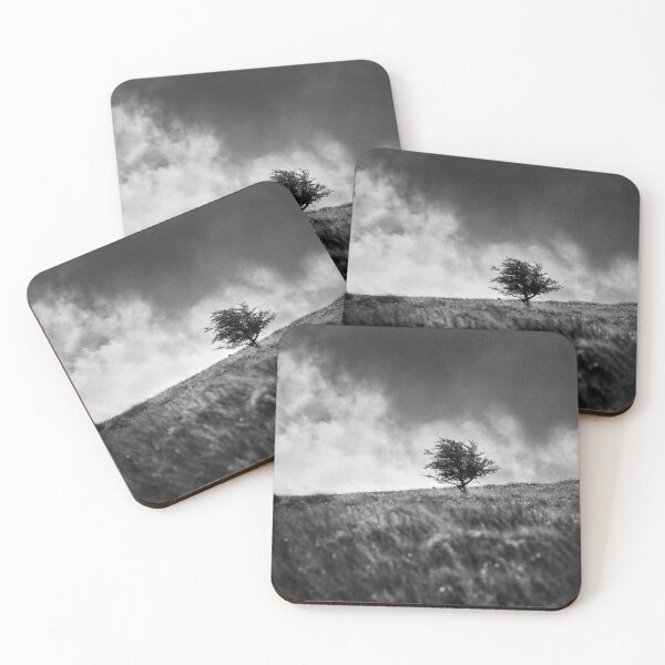 Item preview, Single Tree on Dartmoor designed and sold by Dave Hare Photography.