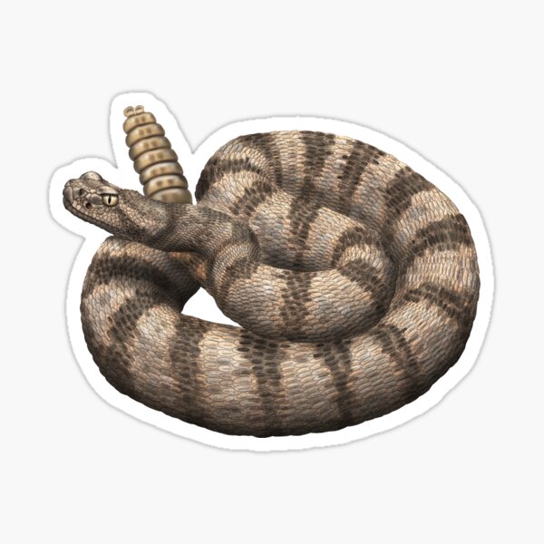 Item preview, Tiger Rattlesnake designed and sold by CatchItCreation.