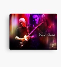 David Gilmour Canvas Print