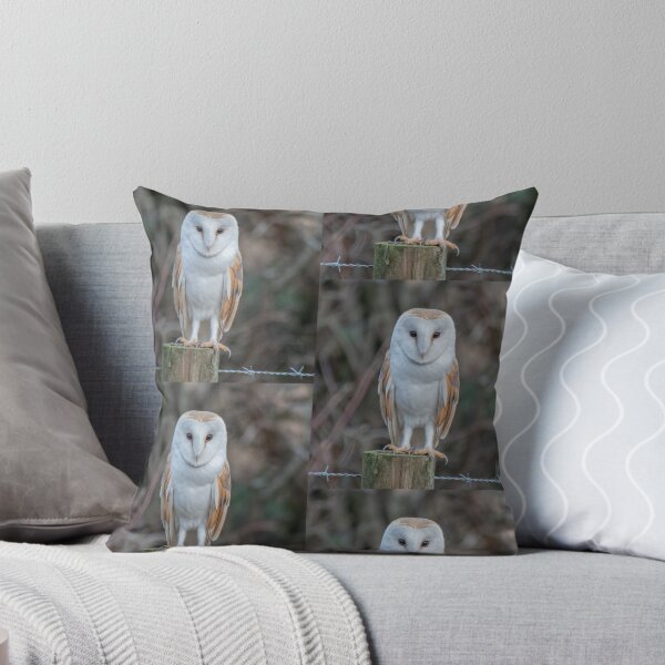 Item preview, barn owl designed and sold by tammy mellor.
