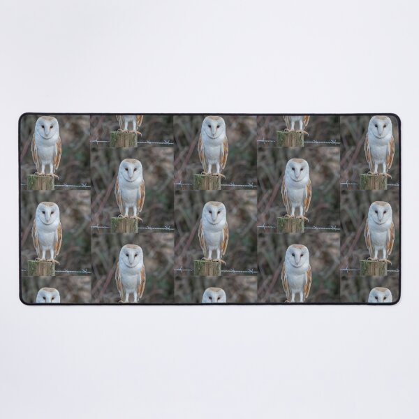 Item preview, barn owl designed and sold by tammy mellor.