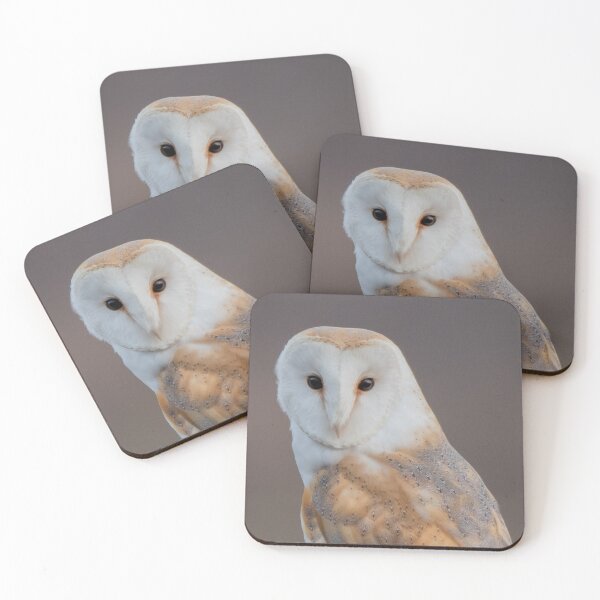 Item preview, barn owl designed and sold by tammy mellor.