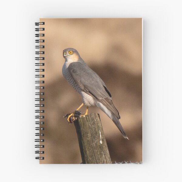 Item preview, sparrow hawk designed and sold by tammy mellor.