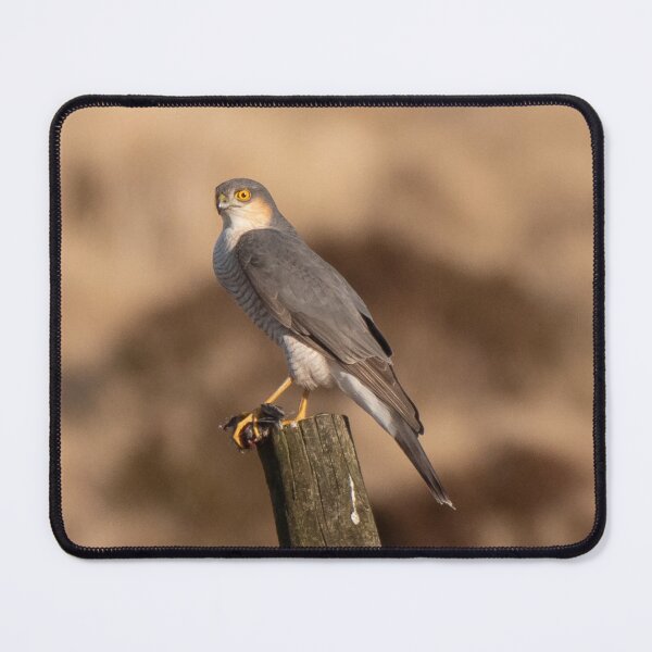 Item preview, sparrow hawk designed and sold by tammy mellor.