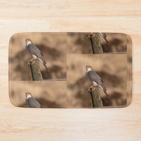 Item preview, sparrow hawk designed and sold by tammy mellor.