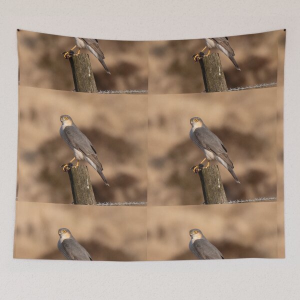 Item preview, sparrow hawk designed and sold by tammy mellor.