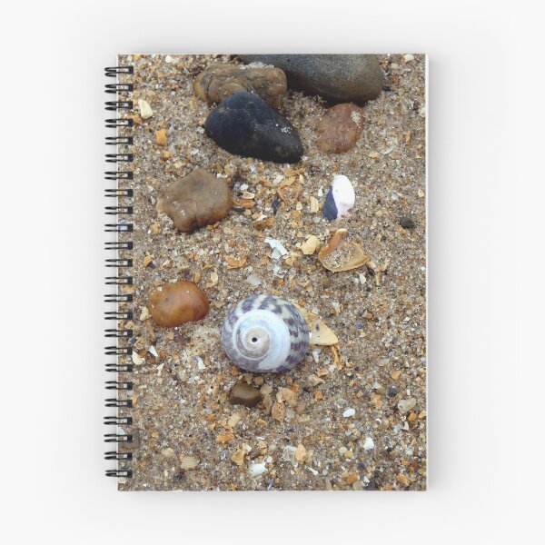 Item preview, shell designed and sold by KathleenDawson.