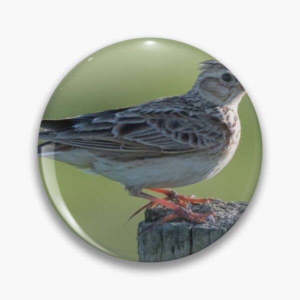 Item preview, skylark designed and sold by tammy mellor.