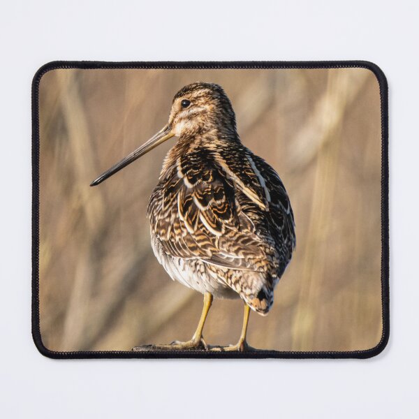 Item preview, snipe in the sun designed and sold by tammy mellor.