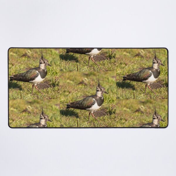 Item preview, lapwing designed and sold by tammy mellor.