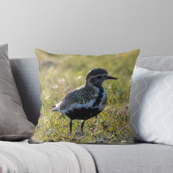 Item preview, golden plover designed and sold by tammy mellor.