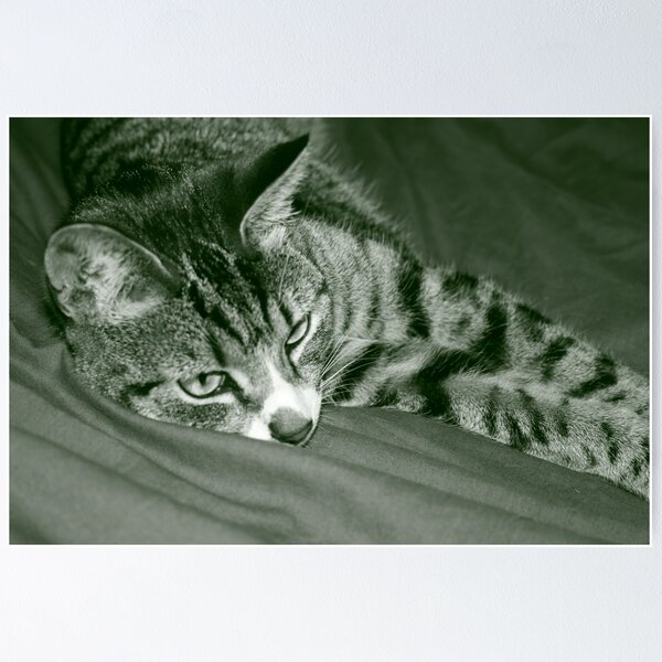 Item preview, Stripey cat designed and sold by Drodbar.