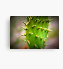 Spike Canvas Print