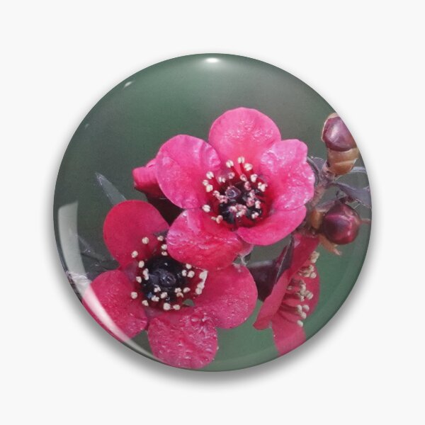 Item preview, Australian tea-tree blossoms designed and sold by Alenka Co.