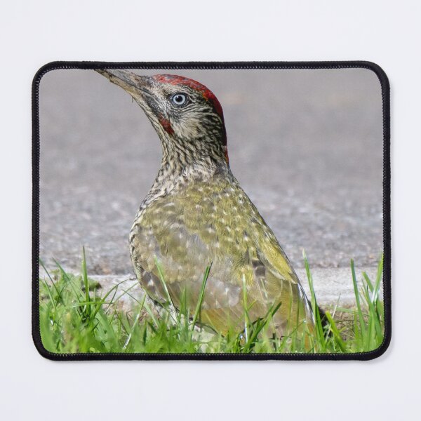 Item preview, green woodpecker designed and sold by tammy mellor.