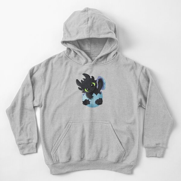 Night fury and sales light fury hoodie