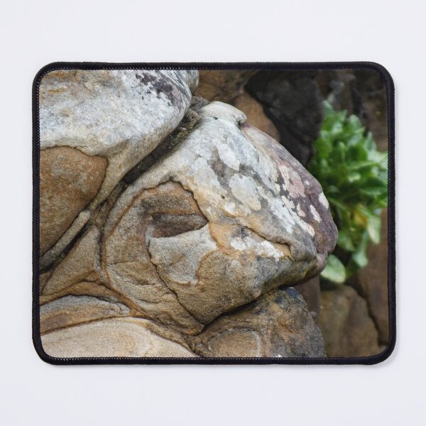 Item preview, Sagulo Turtle designed and sold by Yampimon.