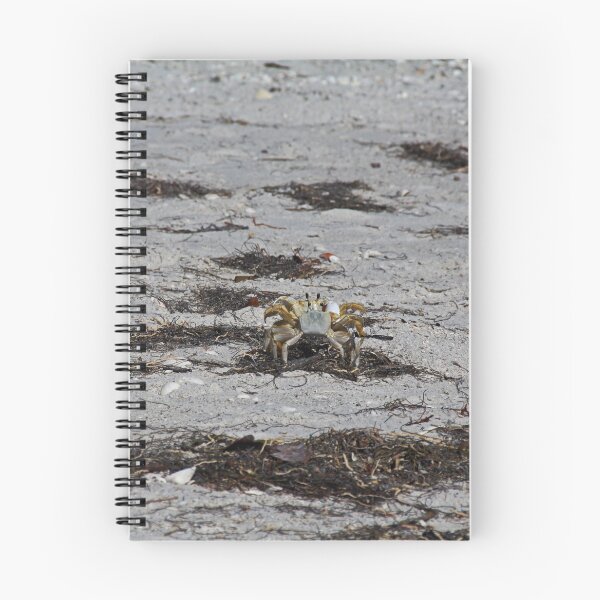 Item preview, Competing Crabs designed and sold by Michiale.