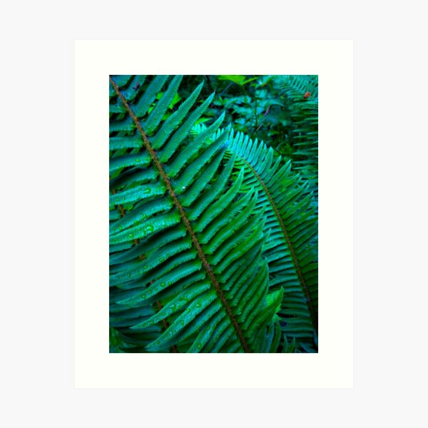 Item preview, West Coast: Flowing Ferns designed and sold by Chancelrie.
