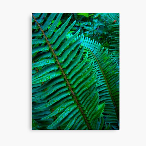 Item preview, West Coast: Flowing Ferns designed and sold by Chancelrie.
