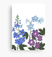 Delicate blue and purple flowers Canvas Print