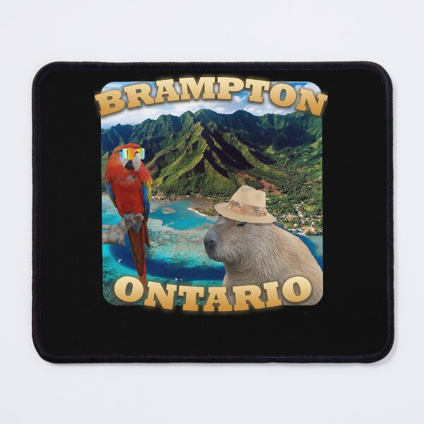 Item preview, Brampton Tourist Capybara Graphic meme designed and sold by DanaAlbert.