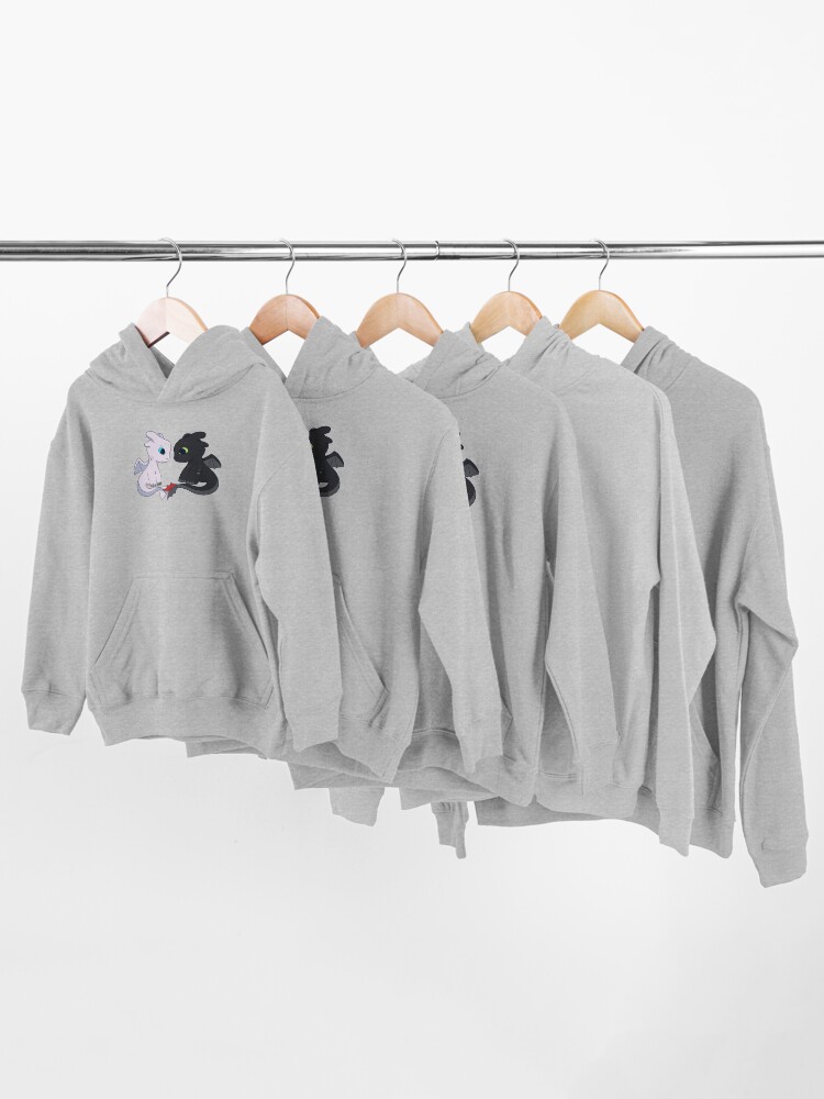 Couple Toothless Light Fury Best Seller Design For Friends Kids Pullover Hoodie for Sale by DonnaDoylew Redbubble