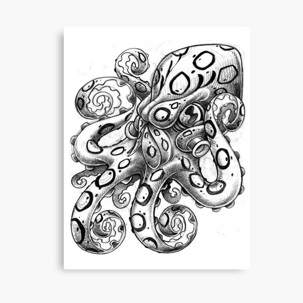 octopus drawingblack and white  Octopus drawing Octopus tattoo Octopus  tattoo design