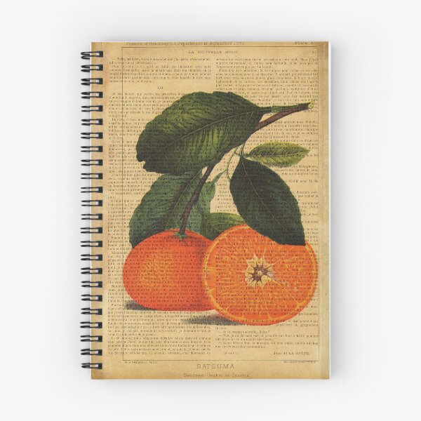 Item preview, Botanical print, on old book page - orange designed and sold by Art by Lilia.