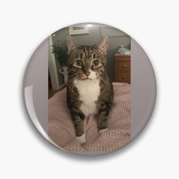 Item preview, Pancakes the Cat designed and sold by wazoowazoo.