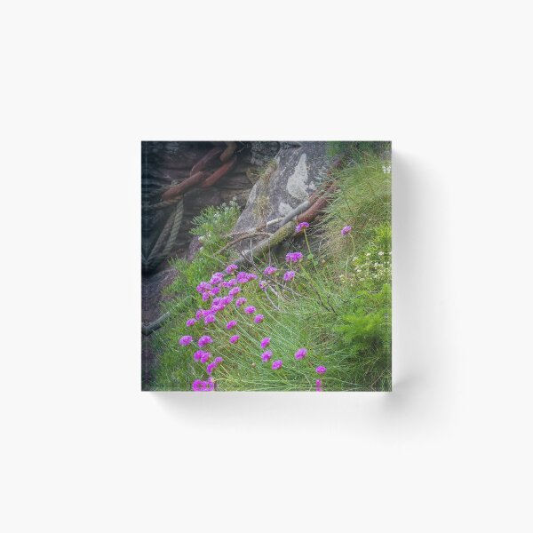 Item preview, Sea Thrift & Rust designed and sold by David  Rowlatt.
