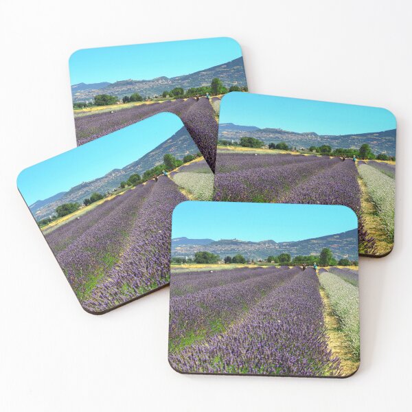 Item preview, Lavander in Assisi designed and sold by annalisa56.