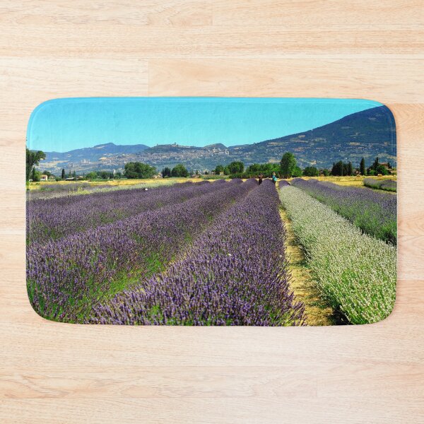 Item preview, Lavander in Assisi designed and sold by annalisa56.