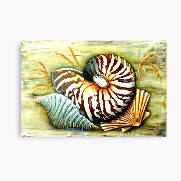 Nautilus Shell Wall Art Redbubble