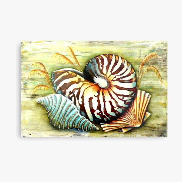 Nautilus Shell Wall Art Redbubble