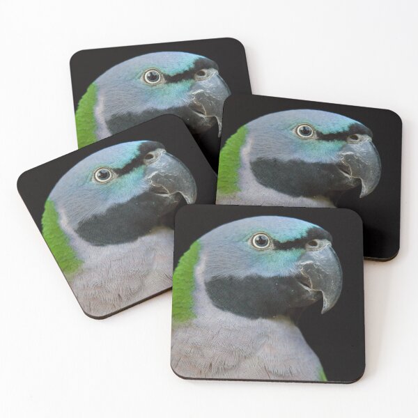 Item preview, Lord Derby's parakeet designed and sold by Dominika Aniola.