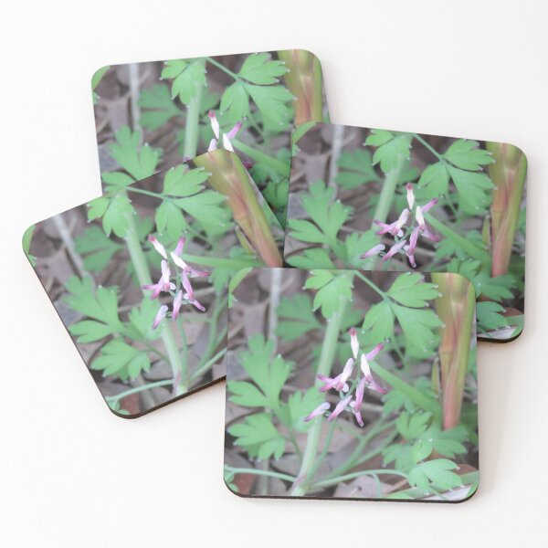 Item preview, Fumitory flowers designed and sold by greentiger1.