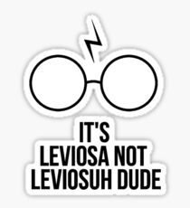 LevioSUH DUDE Sticker