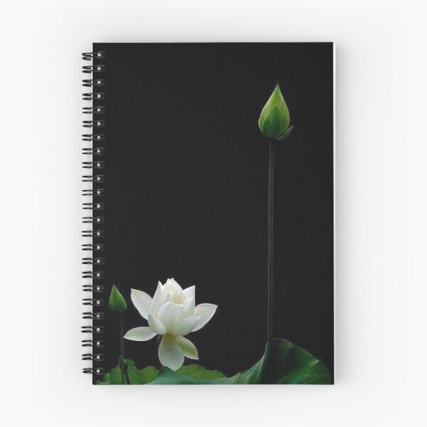 Item preview, Lotus flower designed and sold by NengShop.