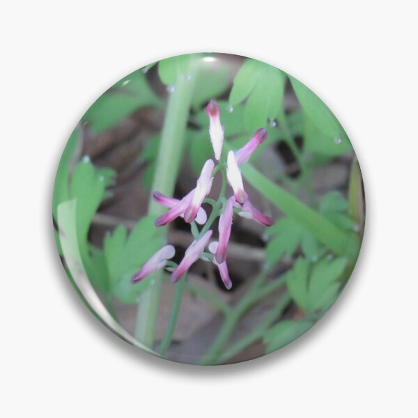 Item preview, Fumitory flowers designed and sold by greentiger1.