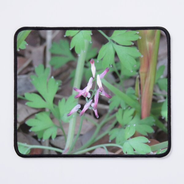 Item preview, Fumitory flowers designed and sold by greentiger1.
