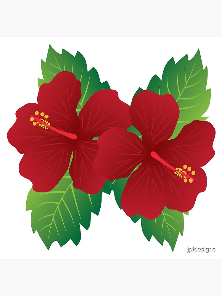 Washington Nationals Red Pink White Hibiscus Black Background 3D